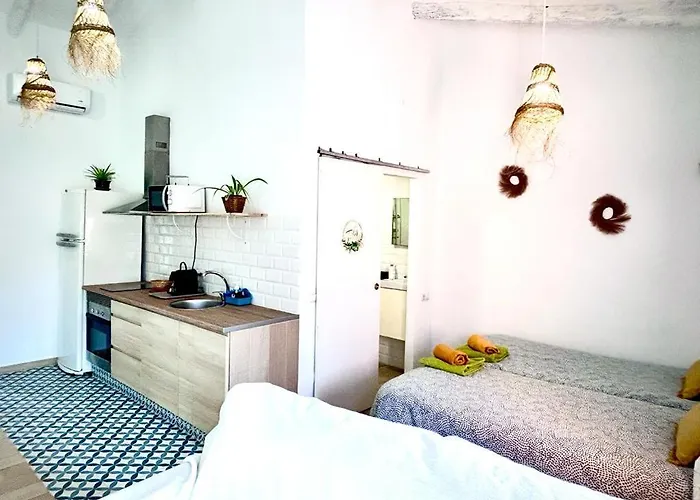 Loft C El Ramellet 公寓 Alginet